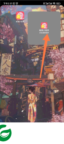 鲸鱼小组件免费版