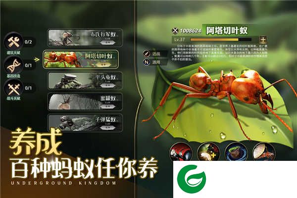 小小蚁国下载手游-小小蚁国下载正版1.89.0-
