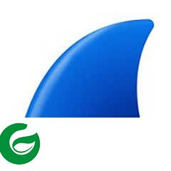 wireshark中文版最新下载_wireshark中文版软件下载4.2.0