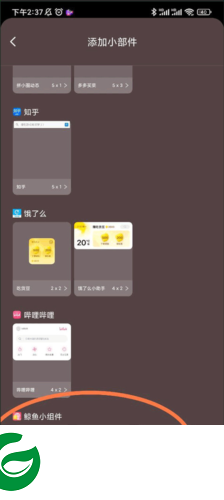鲸鱼小组件免费版