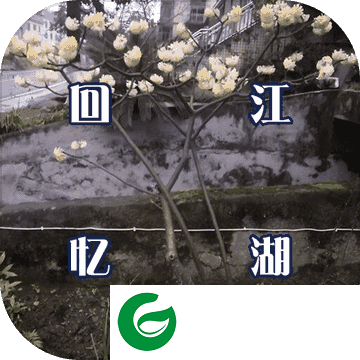 回忆江湖MUD游戏下载_回忆江湖MUD最新版下载1.0-