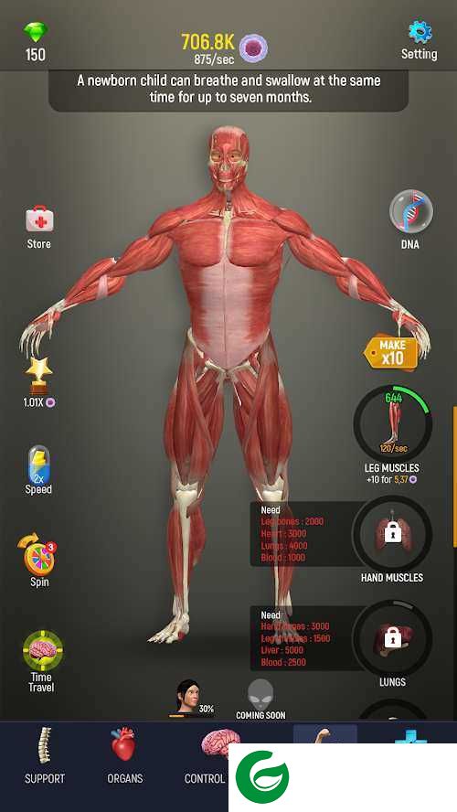 人体模型模拟器下载-人体模型模拟器安卓版下载1.0-