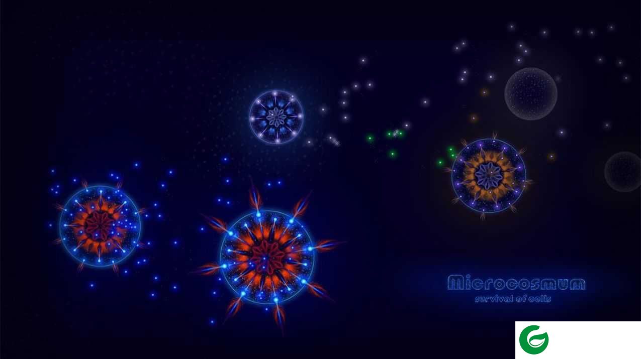 微生物模拟器新生命解锁下载-微生物模拟器新生命完整版下载4.2.13-