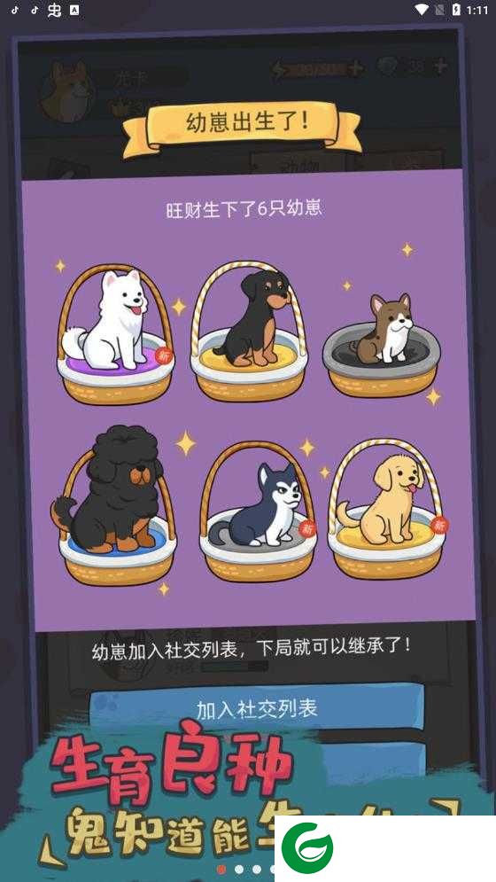 狗生模拟器内置修改器下载-狗生模拟器内置修改器免广告下载1.0.3-